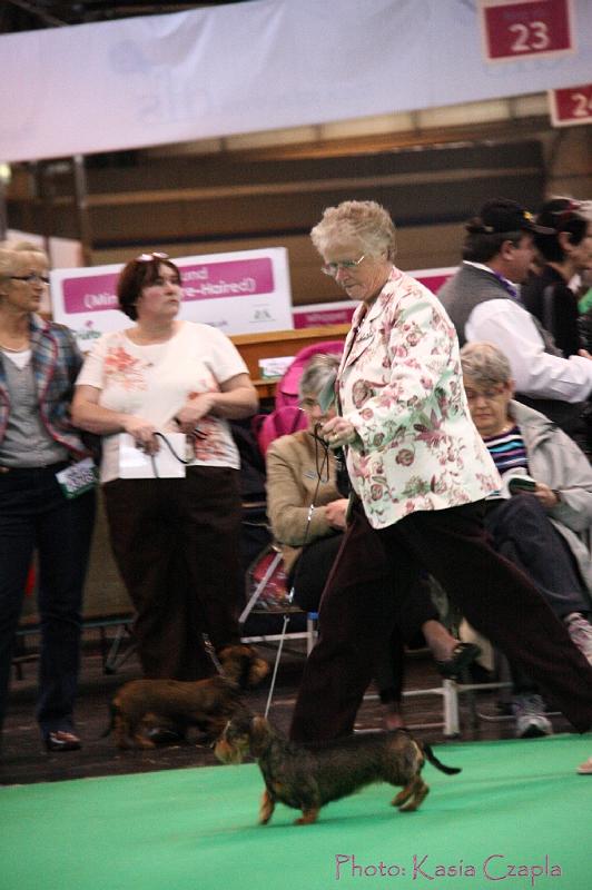 Crufts2011_2 1590.jpg